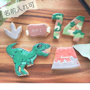 【名入れ】アイシングクッキー6枚セット 恐竜 ティラノサウルス オーダー 誕生日 バースデー おしゃれ かっこいい プレゼント デコレーション ケーキトッパー バースデーケ