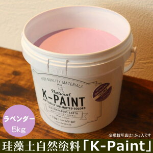 ]y Rh uK-PAINTv 5kg x_[F