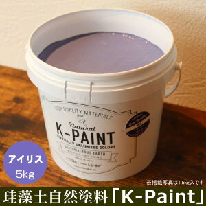 ]y Rh uK-PAINTv 5kg ACXF