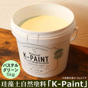]y Rh uK-PAINTv 5kg pXeO[F