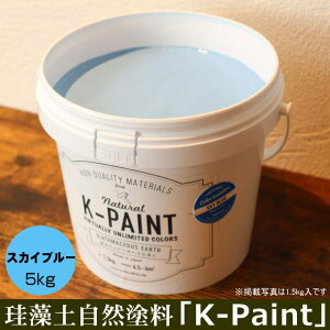 ]y Rh uK-PAINTv 5kg XJCu[F