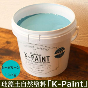 ]y Rh uK-PAINTv 1.5kg V[O[F