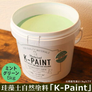 ]y Rh uK-PAINTv 5kg ~gO[F