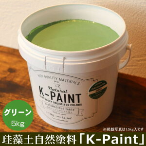 ]y Rh uK-PAINTv 5kg O[F