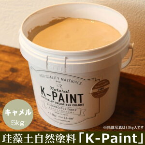 ]y Rh uK-PAINTv 5kg LF