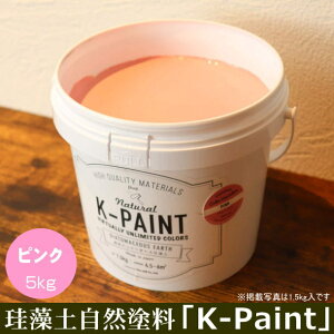 ]y Rh uK-PAINTv 5kg sNF