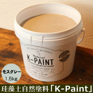 ]y Rh uK-PAINTv 5kg XO[F