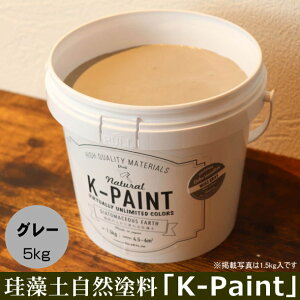 ]y Rh uK-PAINTv 5kg O[F