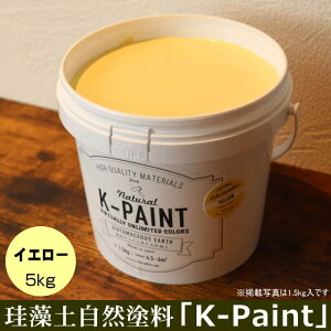 ]y Rh uK-PAINTv 5kg CG[F