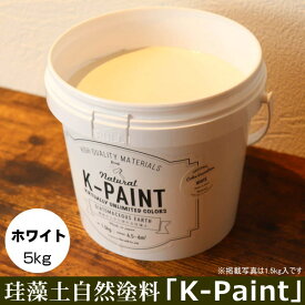 珪藻土 自然塗料 「K-PAINT」 5kg入 ホワイト色