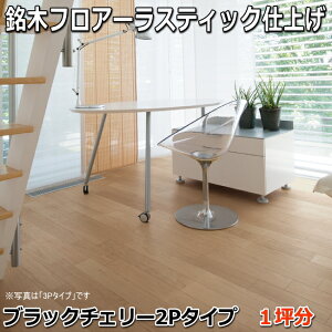 t[O ؃tA[XeBbN uubN`F[v 2P^Cv 1P[X