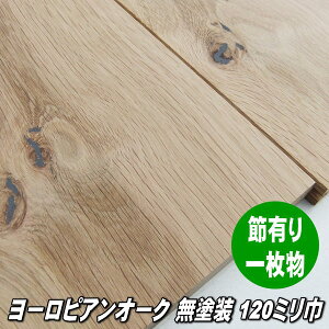 [sAI[N C t[O ߁EO[h ꖇ hi 120~