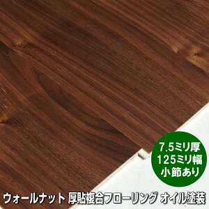 ubNEH[ibg P\ t[O ߂I ICNAhi@7.5~i