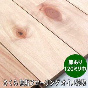  C t[O j ߂I 120~ IChi