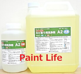 【送料無料】プラザオブレガシーカビ取り用洗浄剤A2（5Lセット）