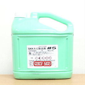 エスケー化研SKKカビ除去剤＃5（5kg）