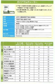 【送料無料】菊水化学工業ガイナマルチシーラー（弱溶剤）ホワイト16kgセット