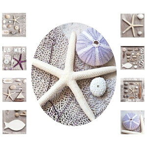 yiI̋@ȂzhCcAXebJ[C̕󕨃gCpXebJ[ 50×70cm V[