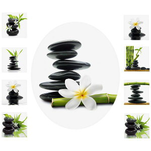 yiI̋@ȂzhCcAXebJ[aEȂ₳gCpXebJ[ 50×70cm V[