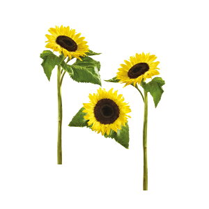 yiI̋@Ȃz̃hCc蒼AXebJ[ǗpЂ܂EH[XebJ[ 50×70cm V[