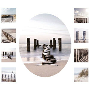 yiI̋@ȂzhCcAXebJ[gCpVL[XJCւ̋EH[XebJ[ 50×70cm V[