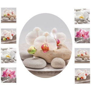 yiI̋@ȂzhCcAXebJ[gCp̃oXEH[XebJ[ 50×70cm V[