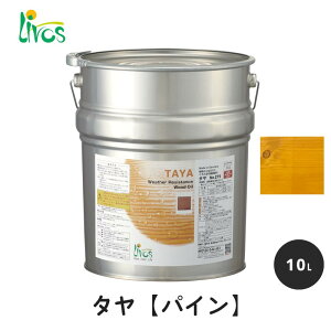 {X RNh ^GNXeA pC 10L / Rh h ^ GNXeA