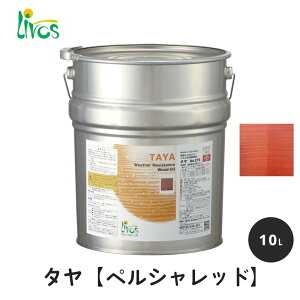 {X ^GNXeA 10L y{X/Livos/{XRNhz