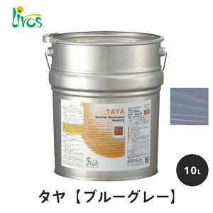 {X RNh ^GNXeA u[O[ 10L / Rh h ^ GNXeA