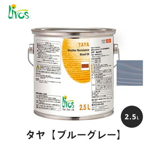 {X RNh ^GNXeA u[O[ 2.5L / Rh h ^ GNXeA