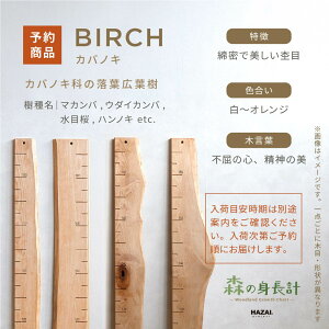 yX^btZNgzX̐gv ؐ gv Ǌ| Xg[gt^Cv / ڐ qgv C 萻 NATUREDESIGN g gv g g L^ V