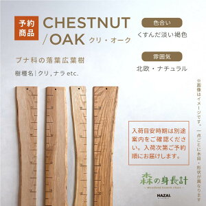 yX^btZNgzX̐gv ؐ gv Ǌ| Xg[gt^Cv / ڐ qgv C 萻 NATUREDESIGN g gv g g L^ V