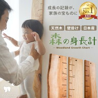 【写真で選べる1点モノ】森の身長計 木製 壁掛け ストレート＆耳付きタイプ / 目盛り 子ども 身長計 無垢…