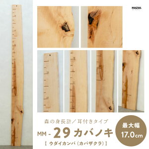 �y�ʐ^�őI�ׂ�1�_���m�z�X�̐g���v �ؐ� �Ǌ|�� �X�g���[�g�����t���^�C�v / �ڐ��� �q�ǂ� �g���v ���C�� ���萻�� NATUREDESIGN �g������ �g���v�� �g������� �g�������� �����L�^ �V���v