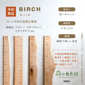 yX^btZNgzX̐gv ؐ gv Ǌ| Xg[gt^Cv / ڐ qgv C 萻 NATUREDESIGN g gv g g L^ V