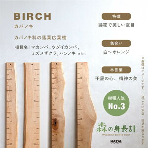 yX^btZNgzX̐gv ؐ gv Ǌ| Xg[gt^Cv / ڐ qgv C 萻 NATUREDESIGN g gv g g L^ V