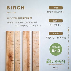 yX^btZNgzX̐gv ؐ gv Ǌ| Xg[gt^Cv / ڐ qgv C 萻 NATUREDESIGN g gv g g L^ V