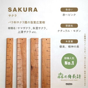 yX^btZNgzX̐gv ؐ gv Ǌ| Xg[gt^Cv / ڐ qgv C 萻 NATUREDESIGN g gv g g L^ V