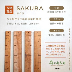 yX^btZNgzX̐gv ؐ gv Ǌ| Xg[gt^Cv / ڐ qgv C 萻 NATUREDESIGN g gv g g L^ V