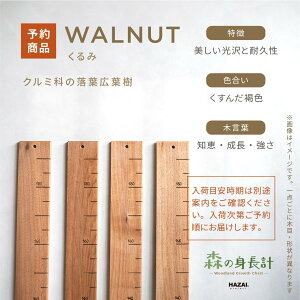 �y�X�^�b�t�Z���N�g�z�X�̐g���v �ؐ� �g���v �Ǌ|�� �X�g���[�g�����t���^�C�v / �ڐ��� �q���g���v ���C�� ���萻�� NATUREDESIGN �g������ �g���v�� �g������� �g�������� �����L�^ �V��