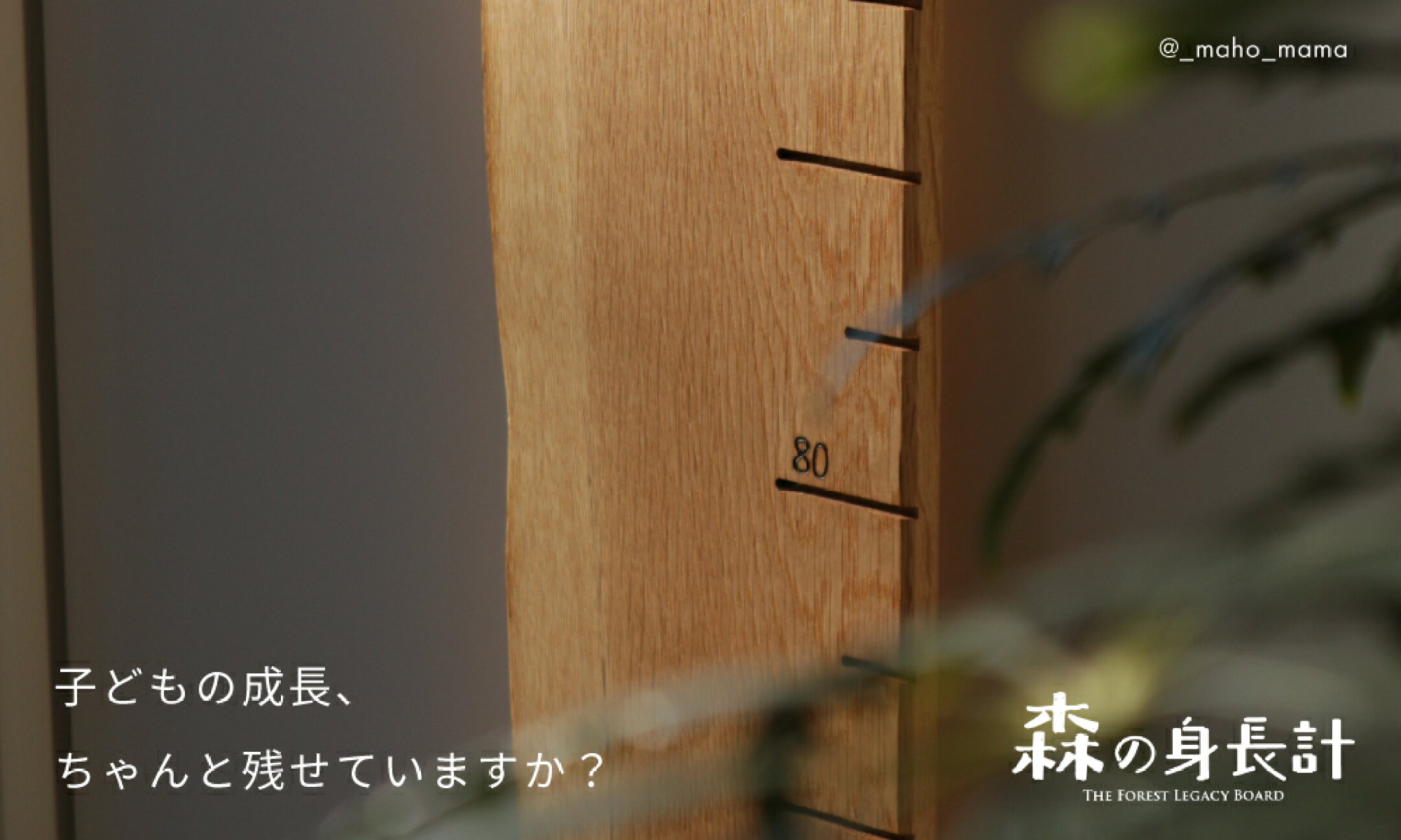 森の身長計