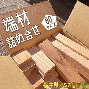 [ ؒ[ 80TCY ς lߍ킹 Jbg ZbgyDIYEHE΁E΍܁E؍HfށzTXeiu TCN ċx ~x Ntg ؂[  z[