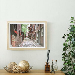 Ƌ cosine RTC |X^[t[ YNtg ؐ ʐ^ EH[ibg [v