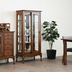 Ƌ EZO G] campanula Jpj LI  YƋ C LIP[X I[N