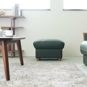 en̖H[ l{H| No.1810 Xc[ YƋ C Ibg} I[N zn v {v