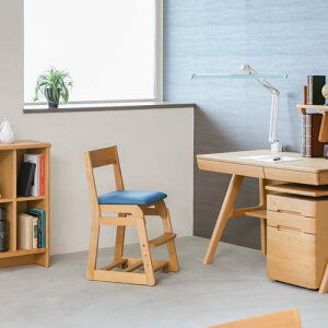 en̖H[ l{H| No.5300 fXN`FA YƋ C fXN`FA v