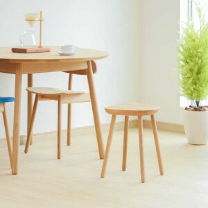 ˉƋ HIDA ˎY Cobrina Rui Xc[ YƋ C Xc[ I[N