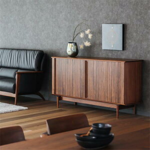 ˉƋ HIDA ˎY SEOTO-EX ZIg-EX Lrlbg YƋ C rO{[h I[N EH[ibg