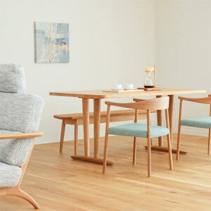 ˉƋ HIDA ˎY Standard Collection X^_[hRNV A[`FA YƋ C _CjO`FA I[N zn v {v