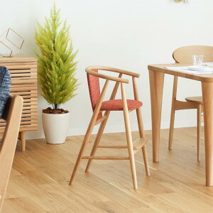 ˉƋ HIDA ˎY Standard Collection X^_[hRNV xr[`FA YƋ C ǂƋ I[N zn v {v